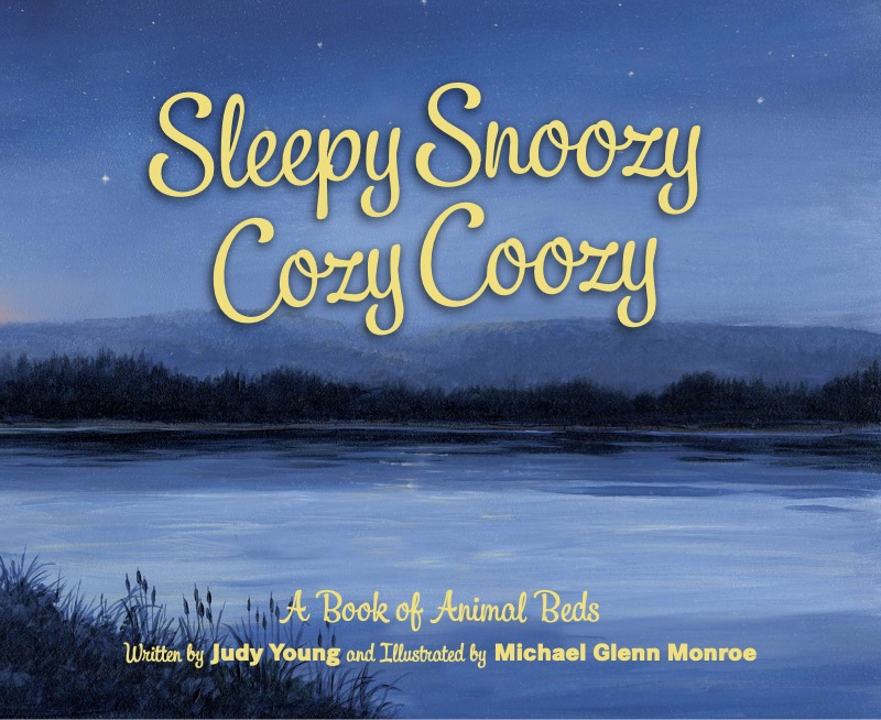 Sleepy Snoozy Cozy Coozy book cover