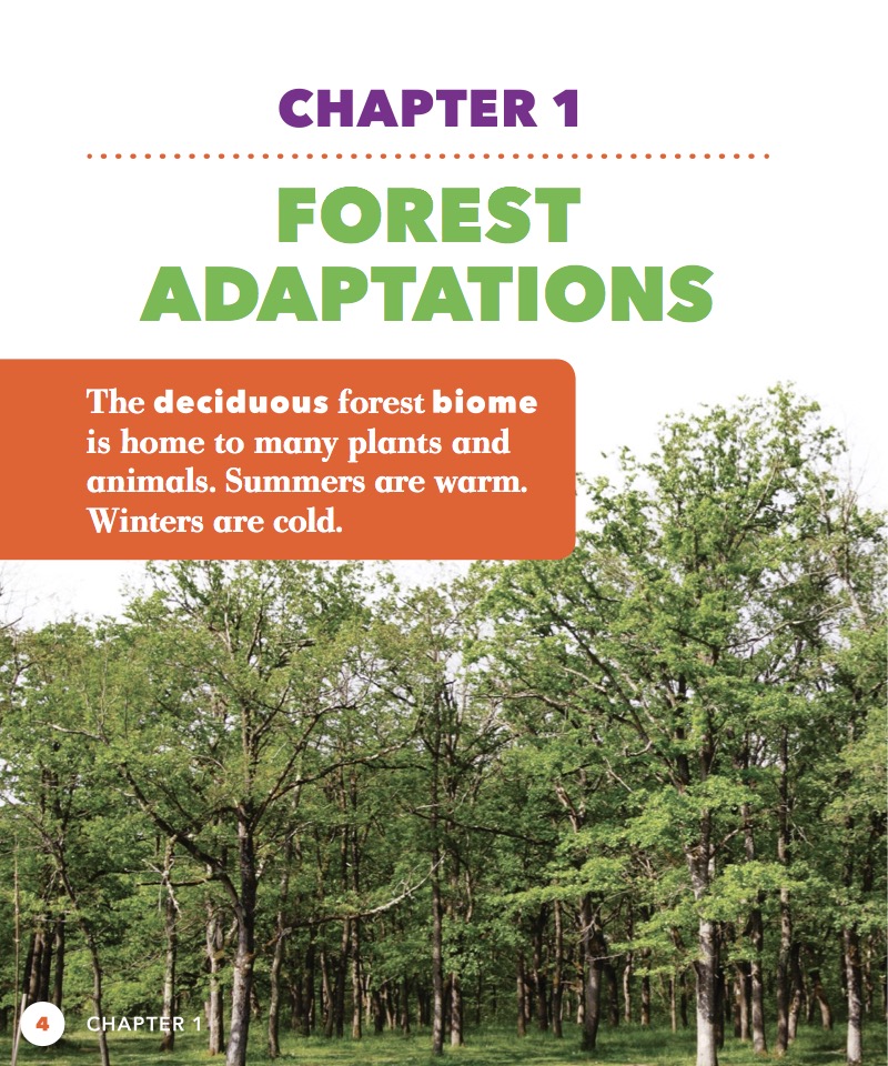 Who Eats What? Forest Food Chains — page 1