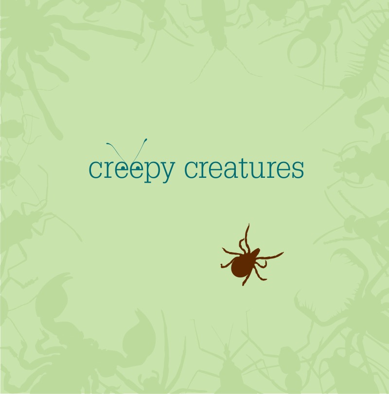Ticks book cover
