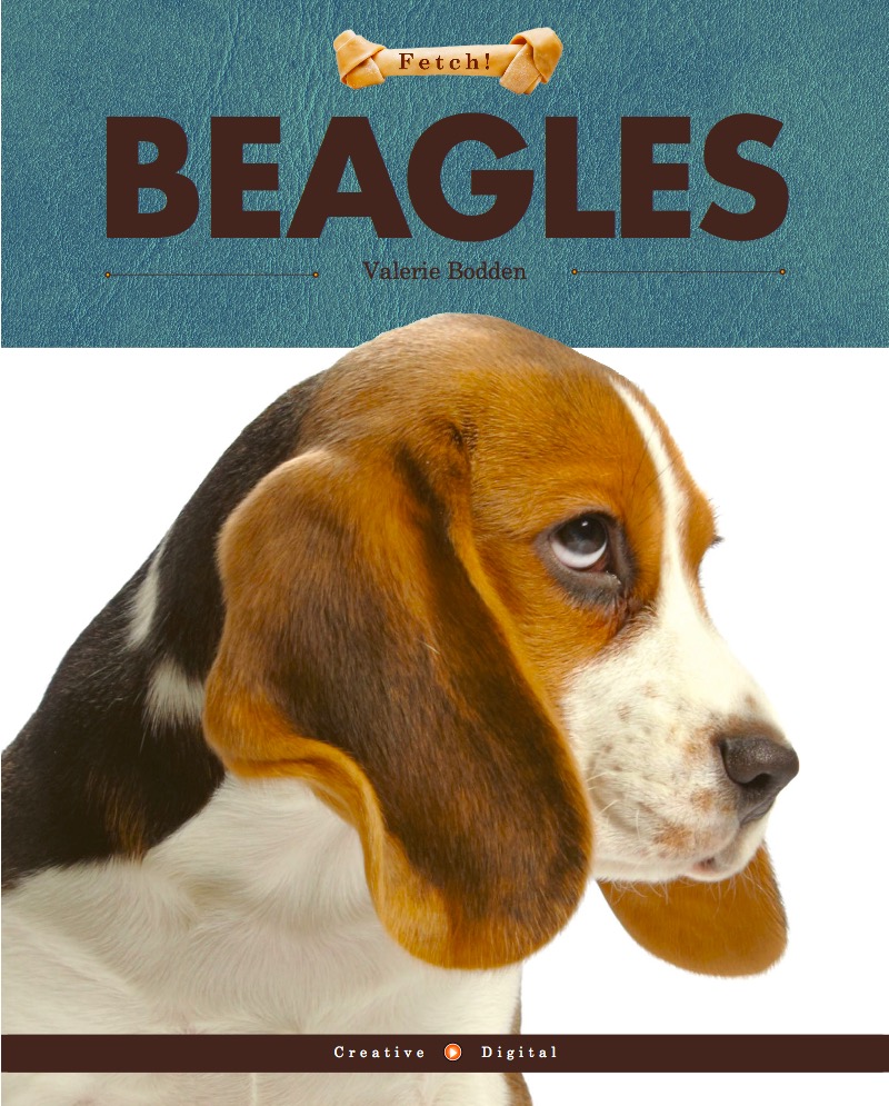 Beagles book cover