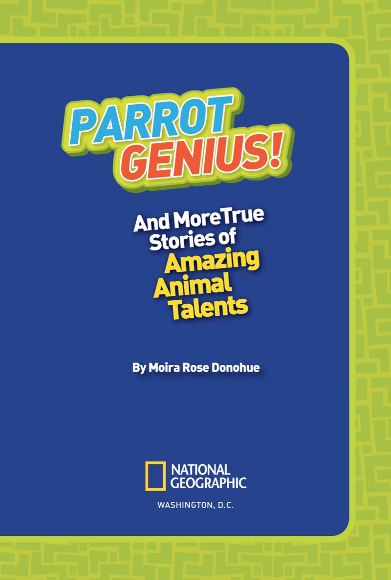 National Geographic Kids Chapters: Parrot Genius book cover