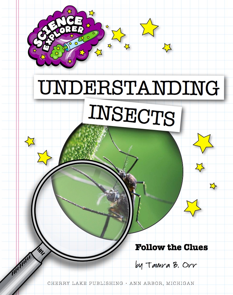 Understanding Insects book cover