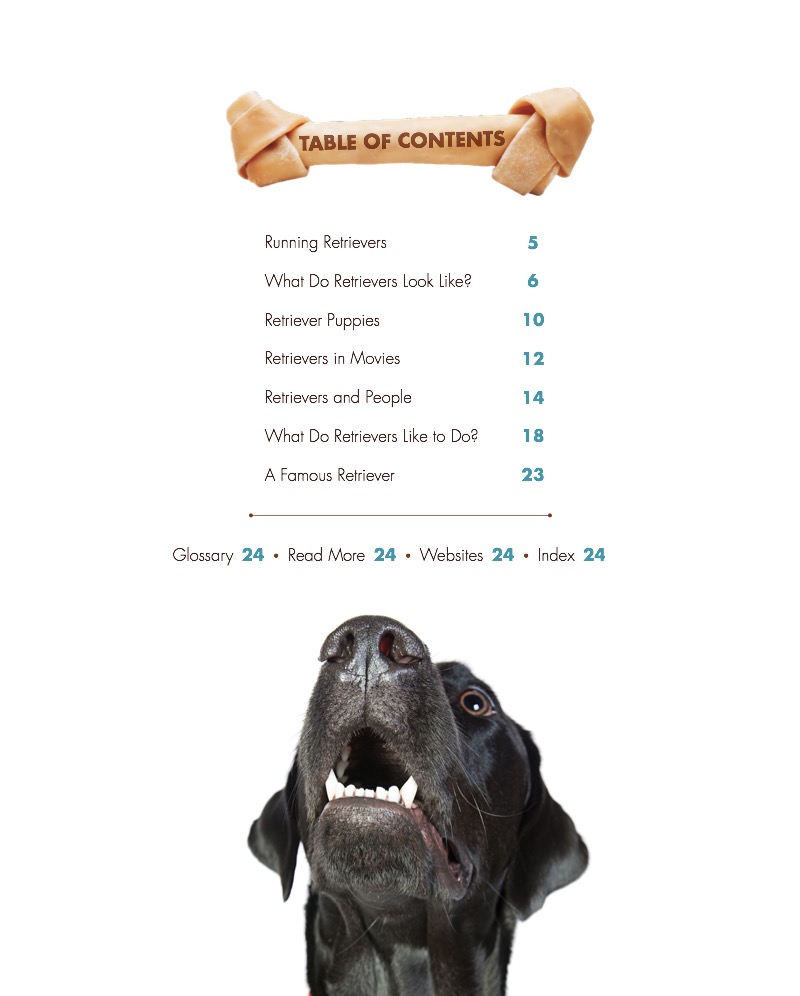 Retrievers book cover