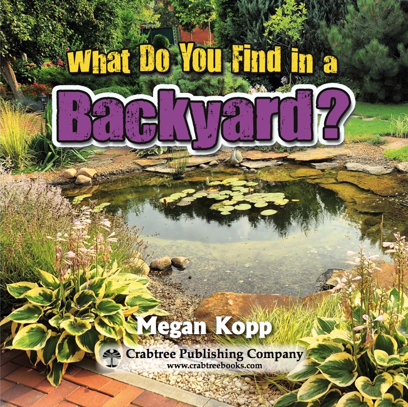 What Do You Find in a Backyard? book cover