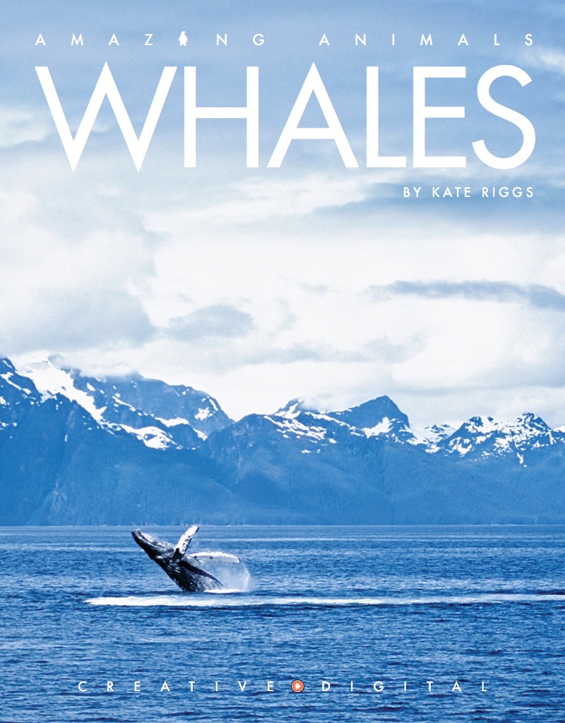 Whales book cover