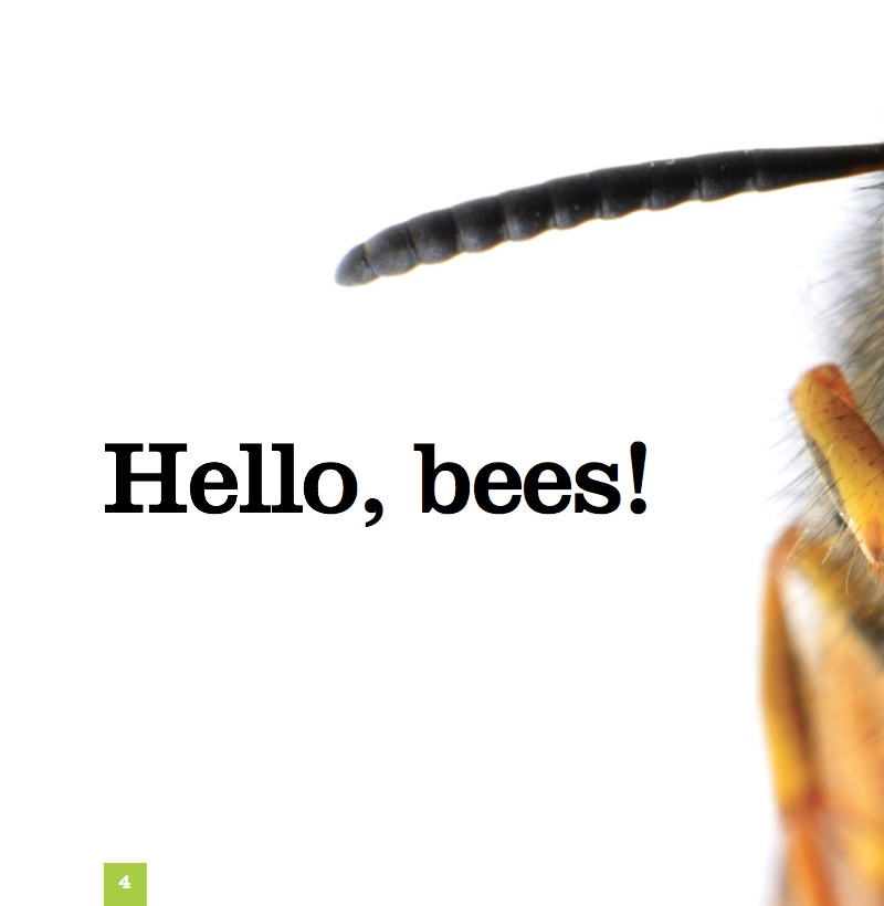 Bees — page 1