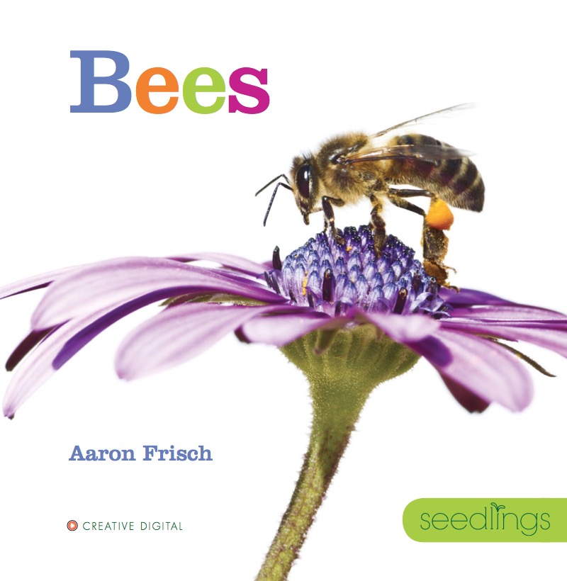 Bees book cover