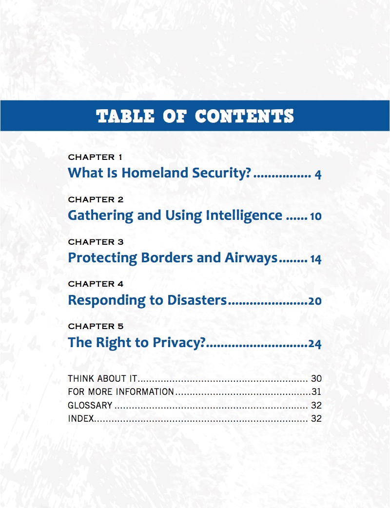 Homeland Security book cover