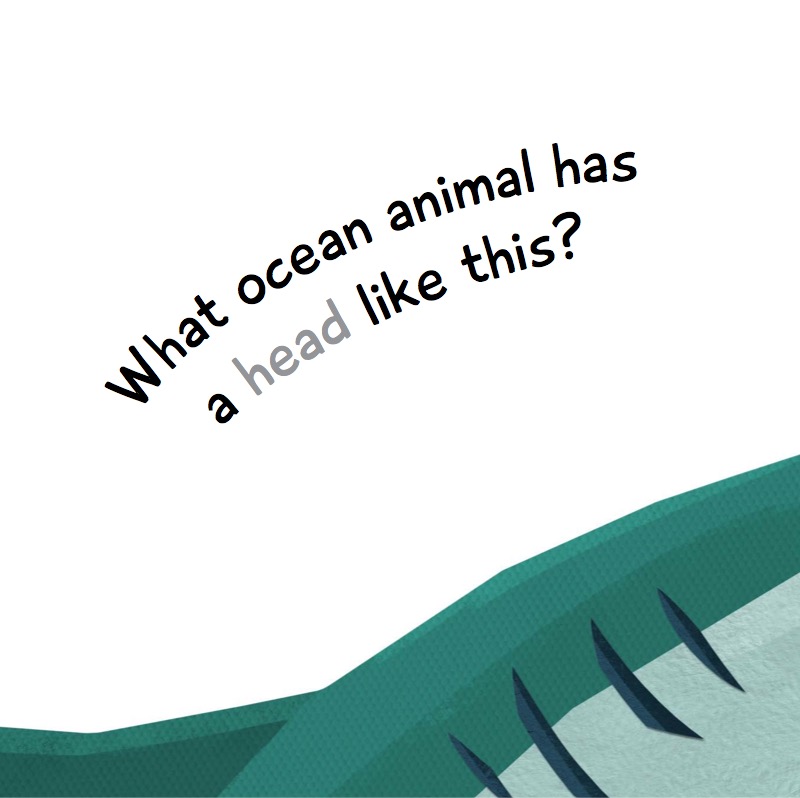 Ocean Animals from Head to Tail — page 1