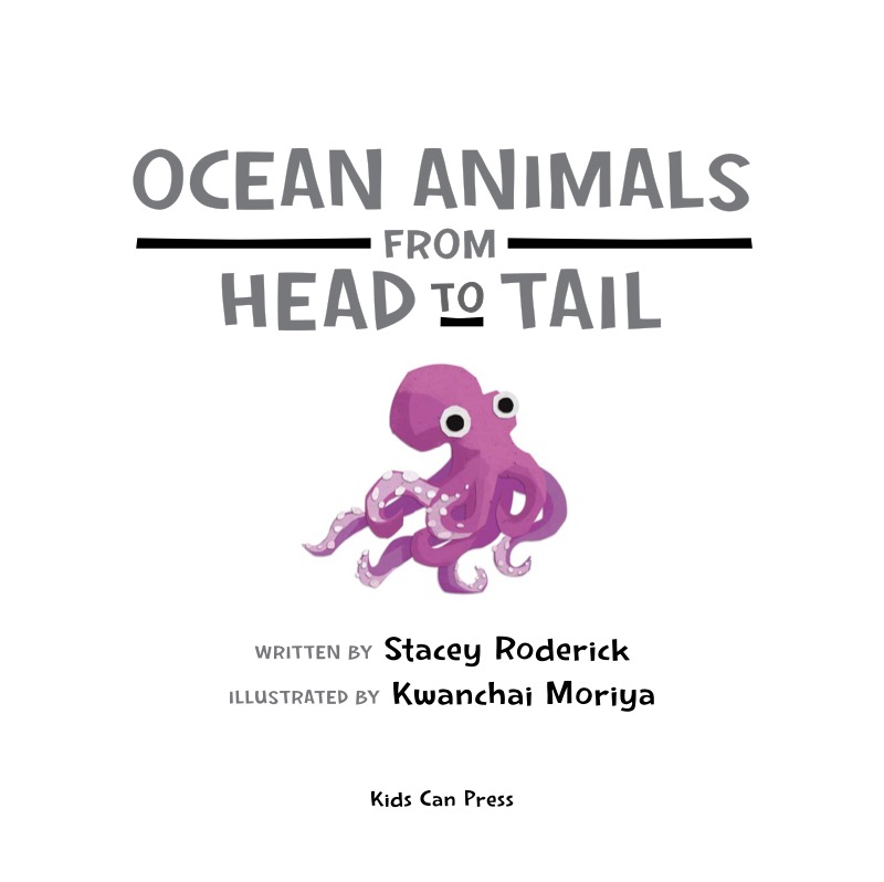 Ocean Animals from Head to Tail book cover
