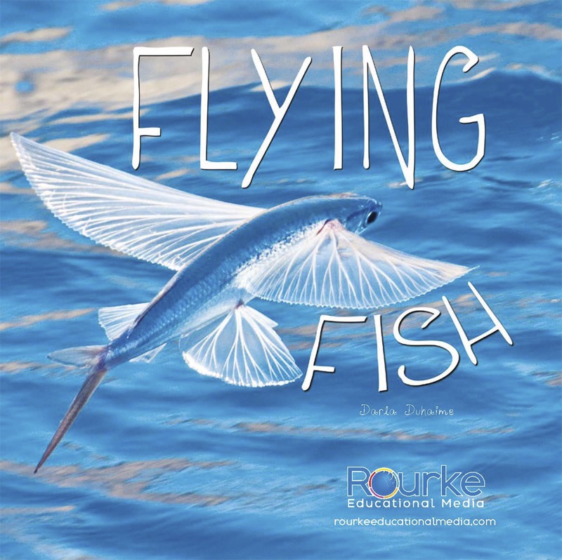 Flying Fish book cover