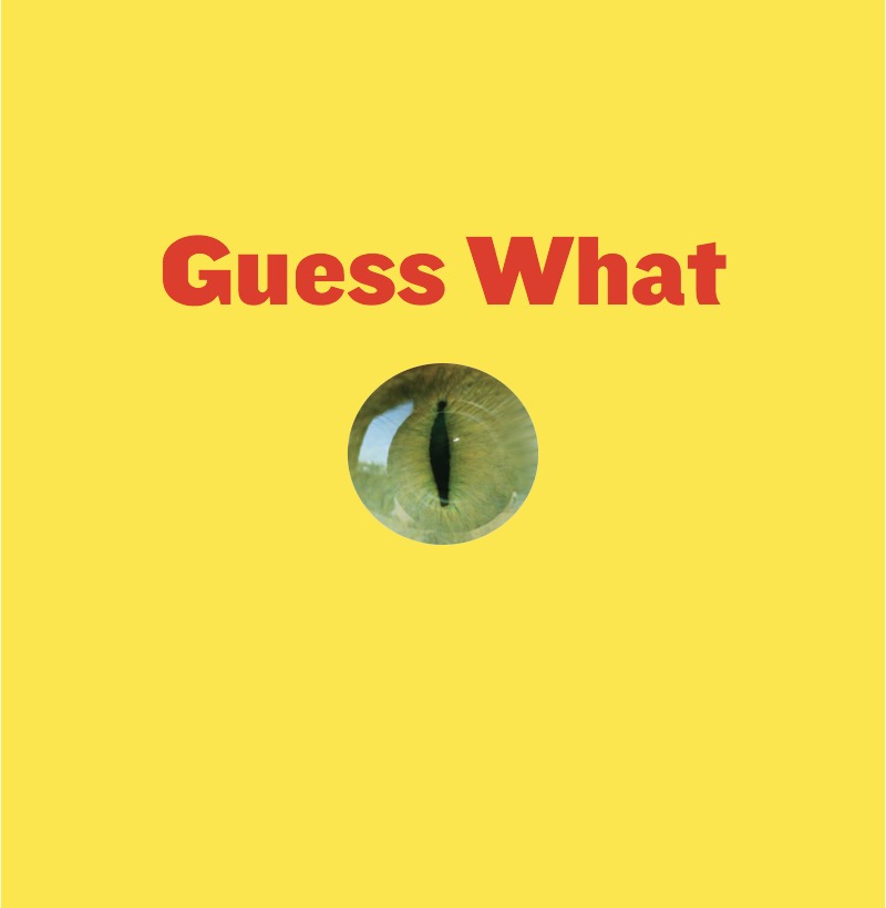 Pouncing Pals book cover