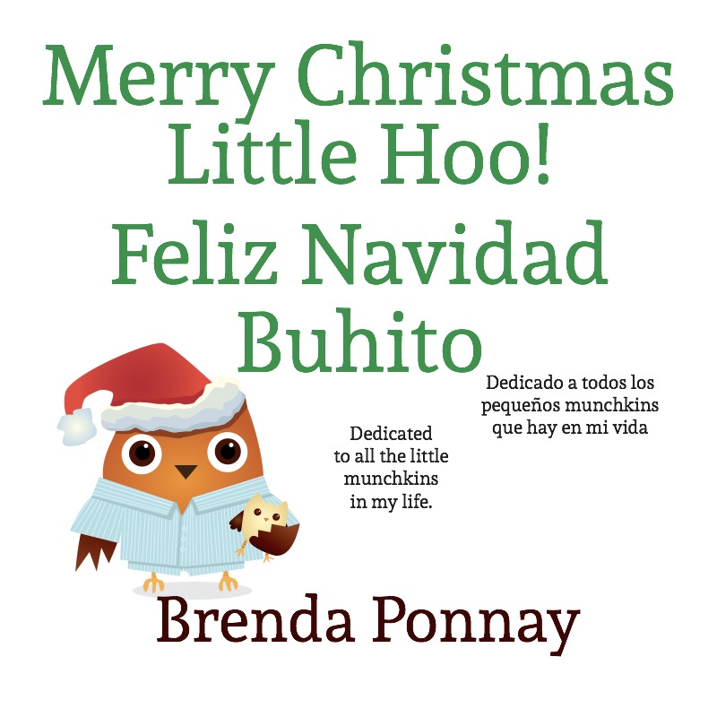 Merry Christmas, Little Hoo! / Feliz Navidad Buhito book cover