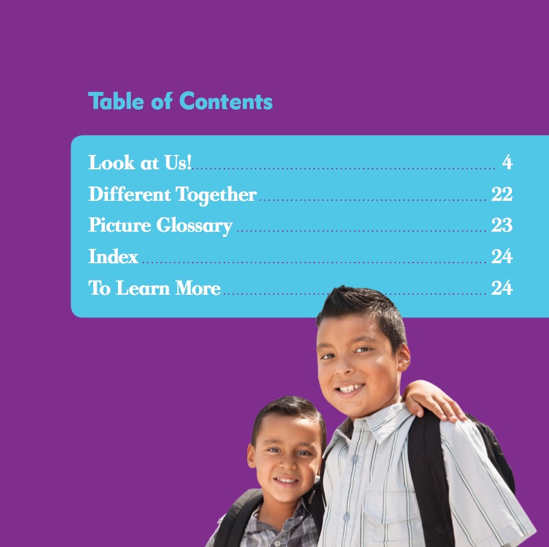 Different Appearances book cover