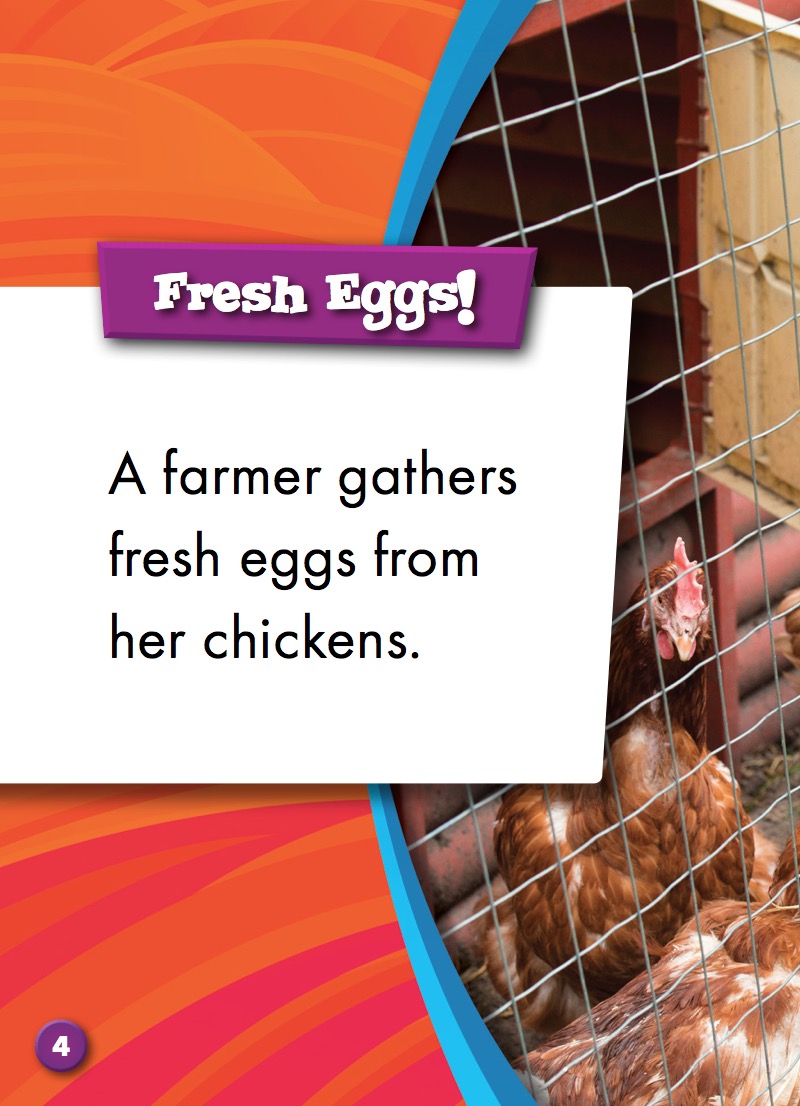 Animals on the Farm: Chickens — page 1