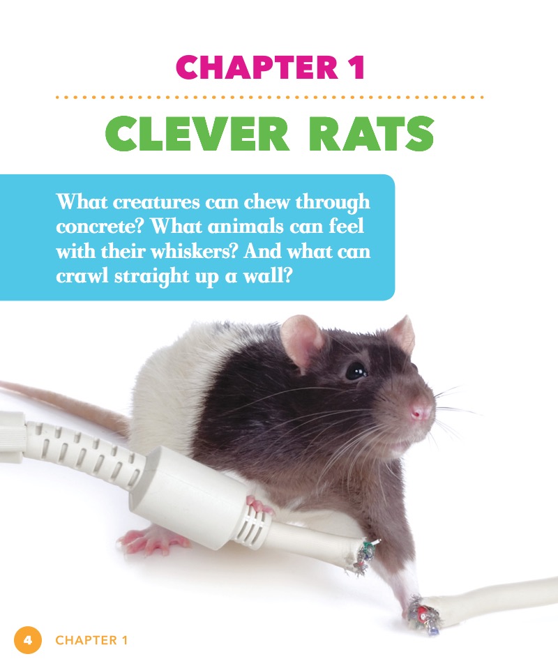 Super Rats — page 1