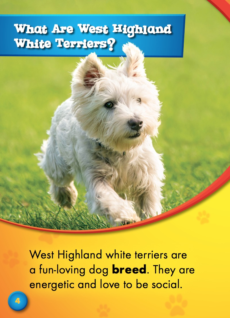 West Highland White Terriers — page 1