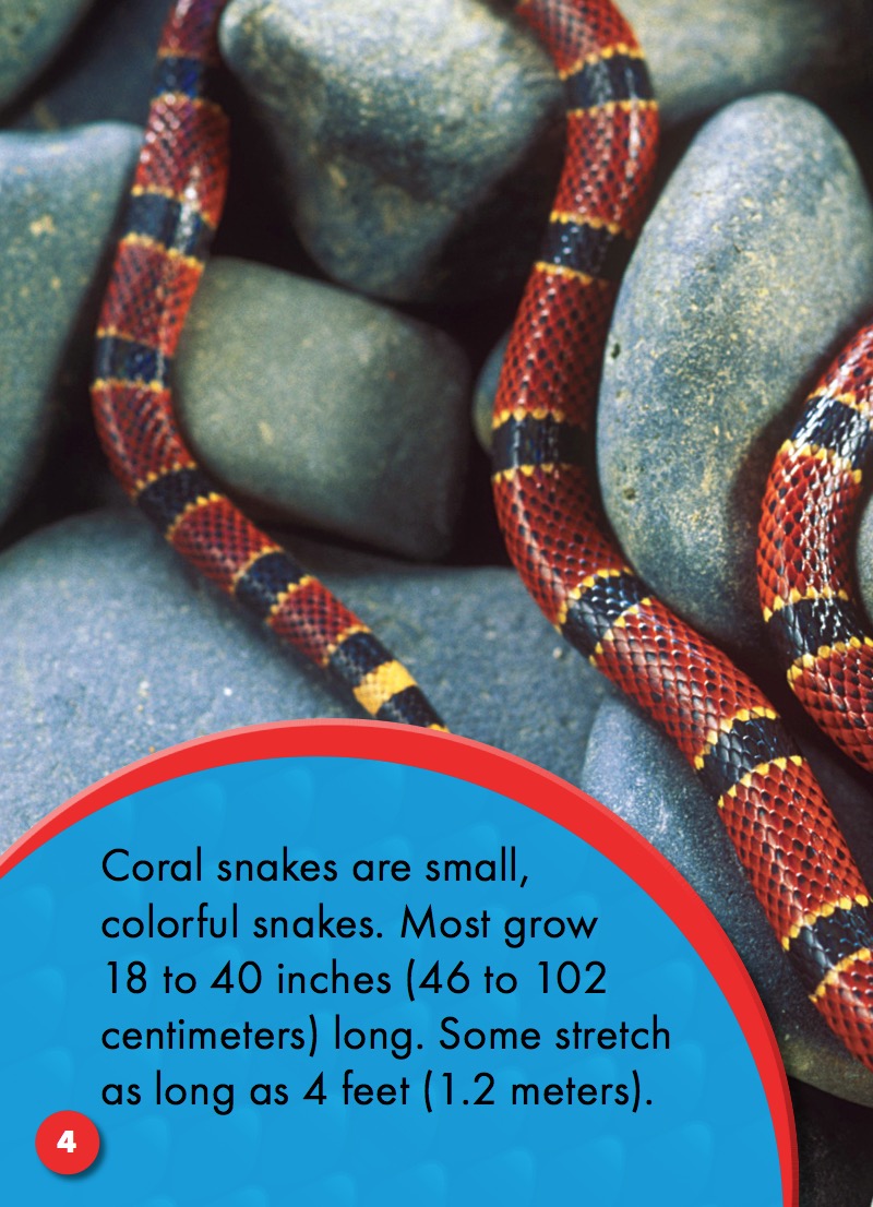 Coral Snakes — page 1