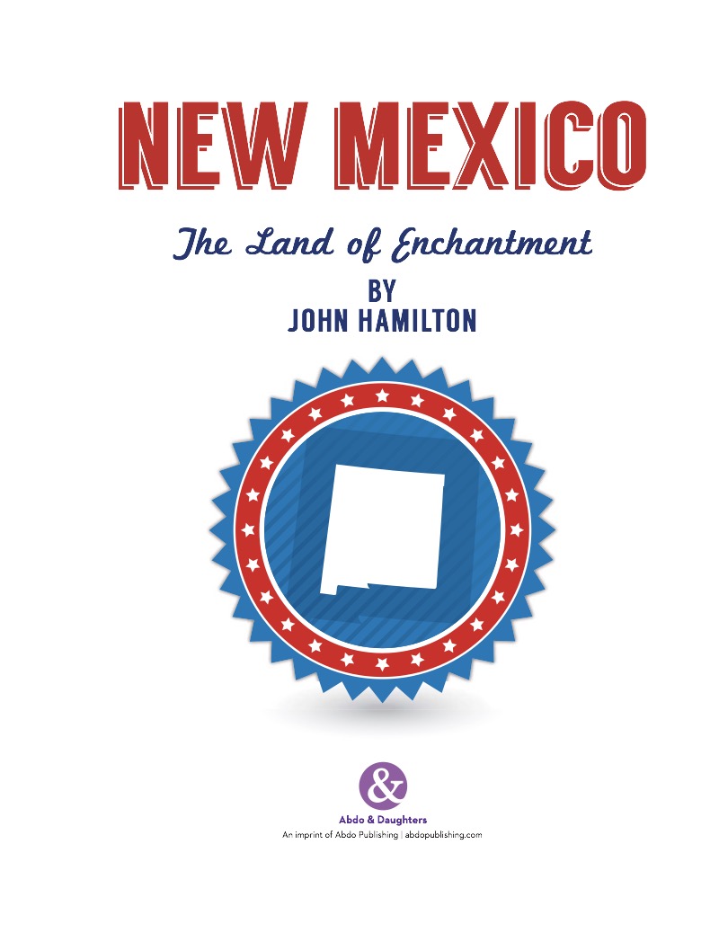 New Mexico book cover