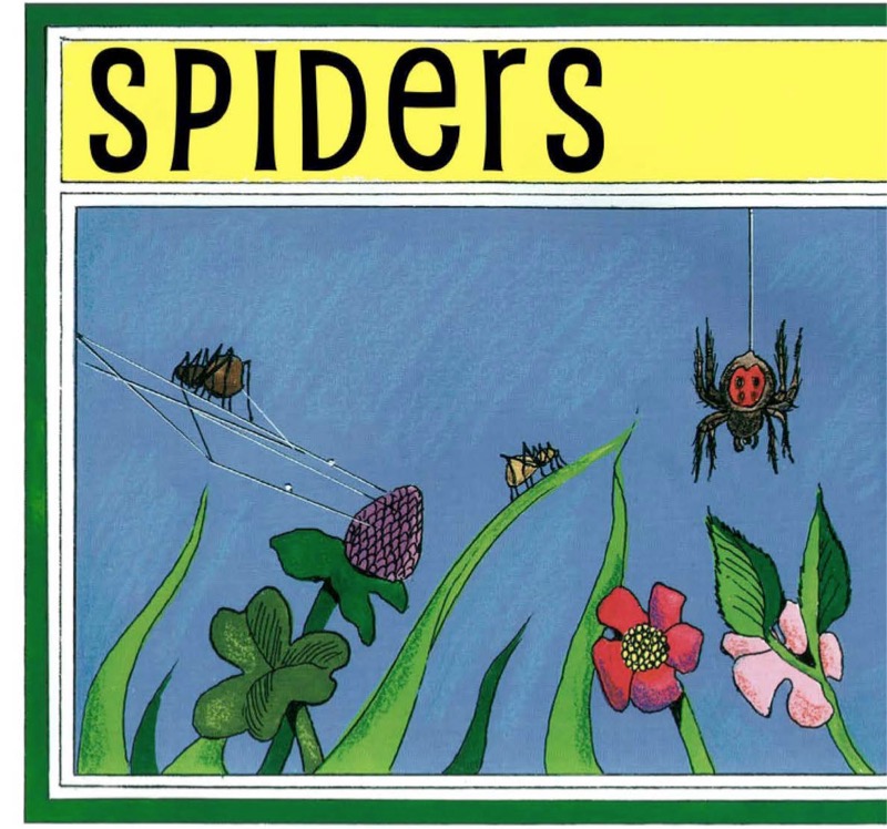 Spiders — page 1