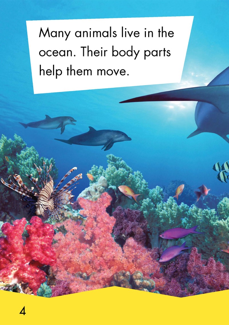 Ocean Animals — page 1