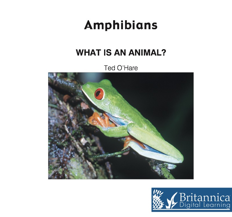 Amphibians book cover