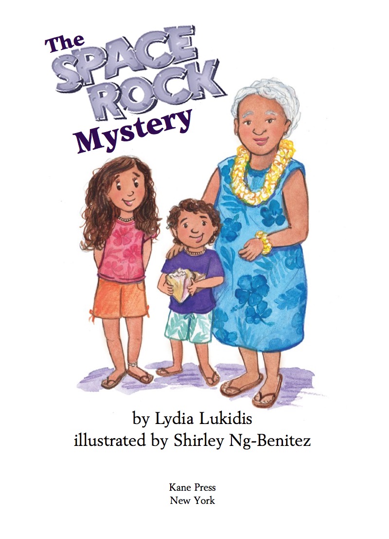 The Space Rock Mystery book cover
