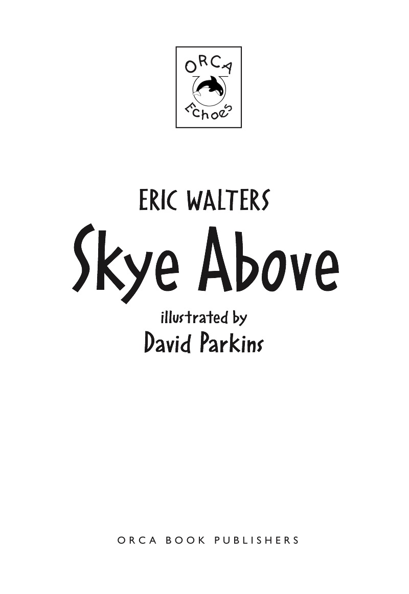 Skye Above book cover