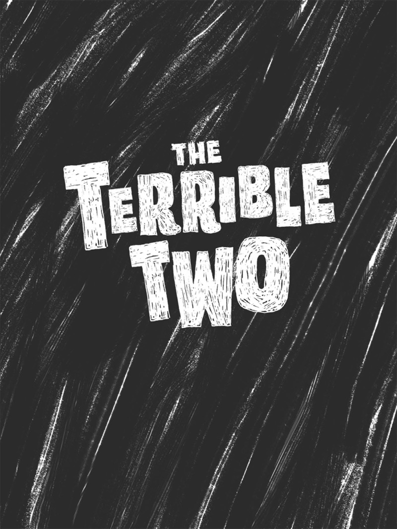 The Terrible Two Go Wild book cover