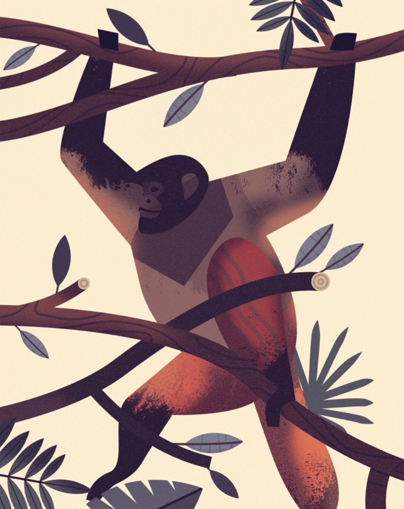 Mad About Monkeys — page 1