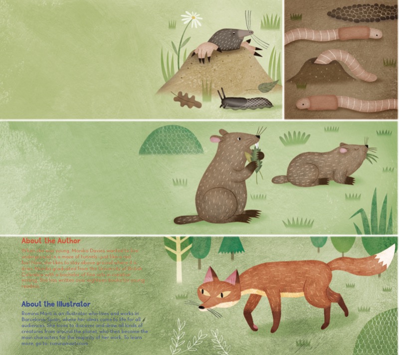 How Far Underground?: Burrowing Animals — page 1