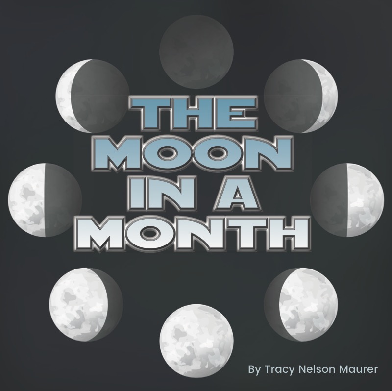 The Moon In A Month book cover