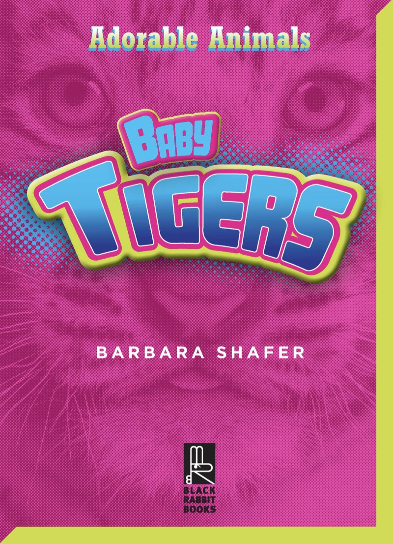 Baby Tigers book cover