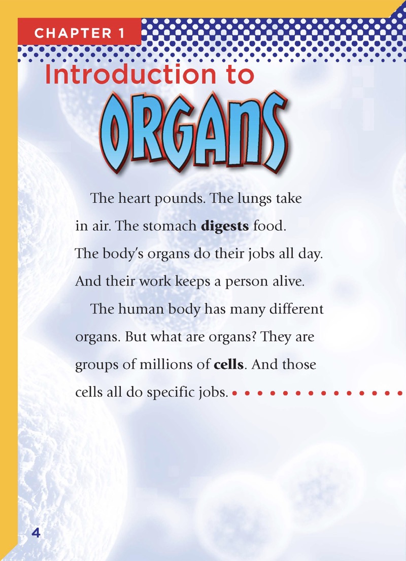 Major Organs — page 1