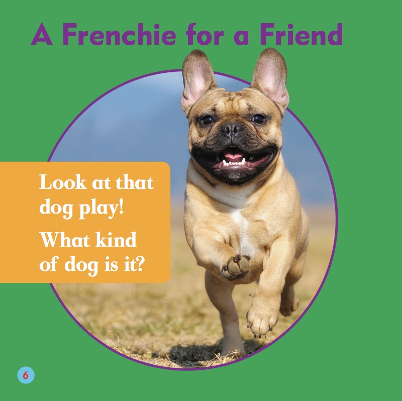 French Bulldogs — page 1