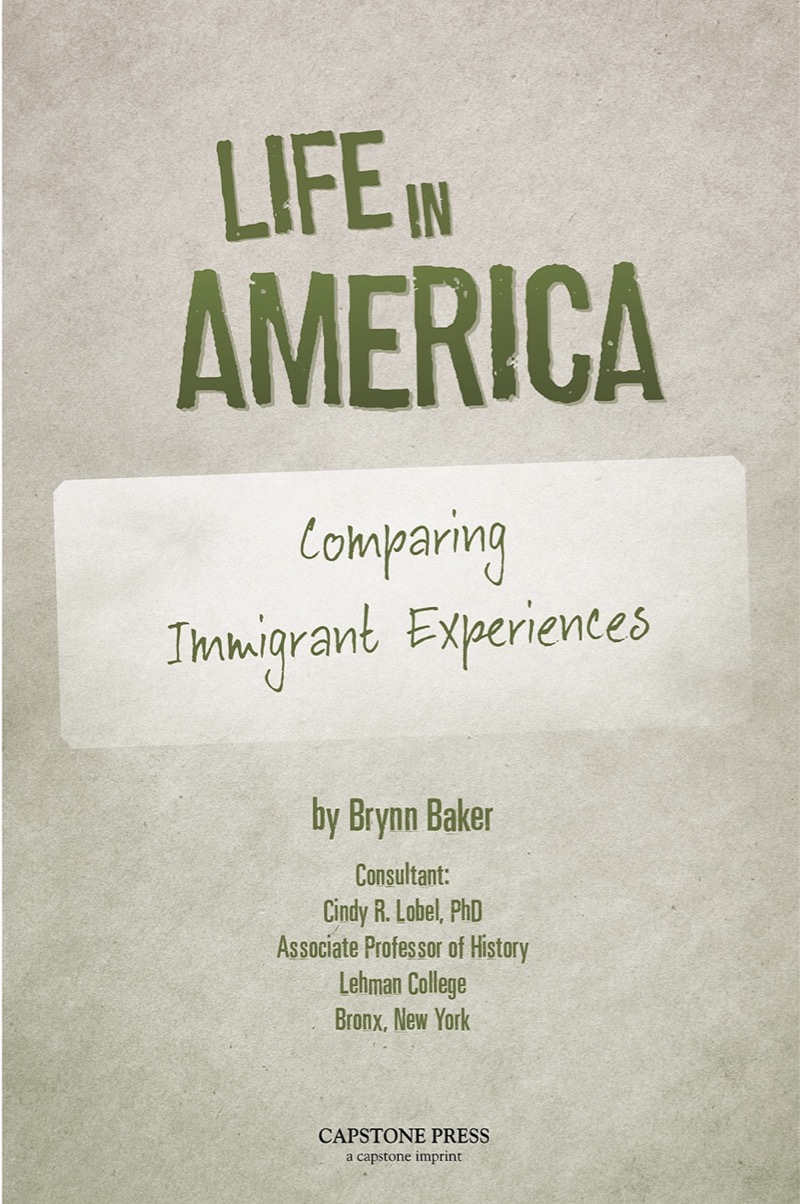 Life in America book cover