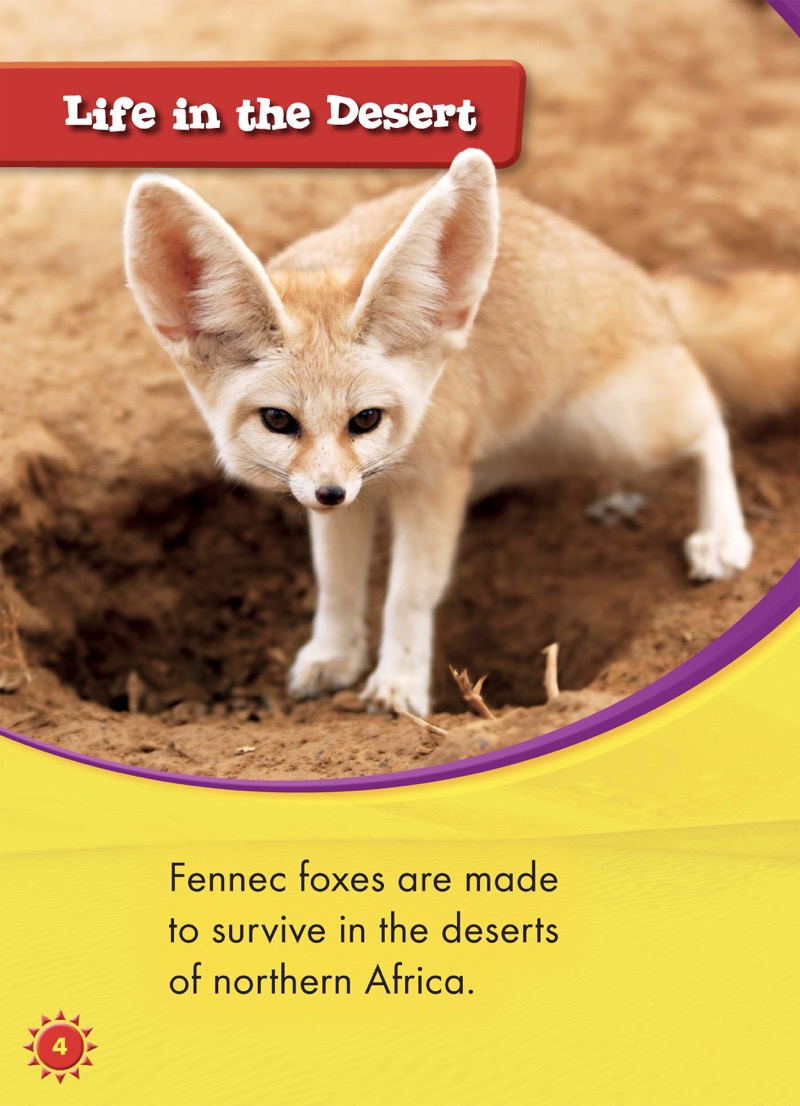 Fennec Foxes — page 1