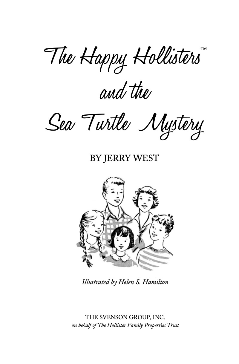 The Happy Hollisters and the Sea Turtle Mystery book cover