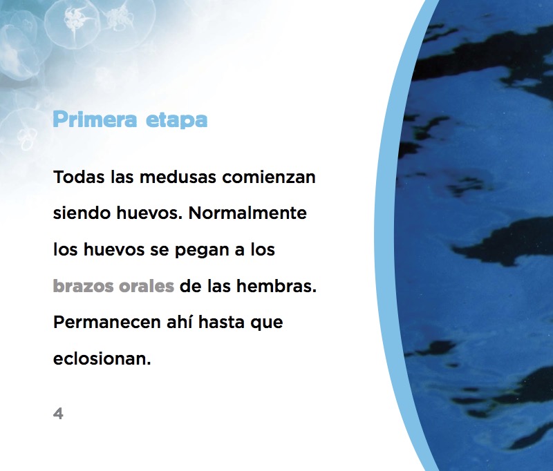 De huevo a medusa — page 1