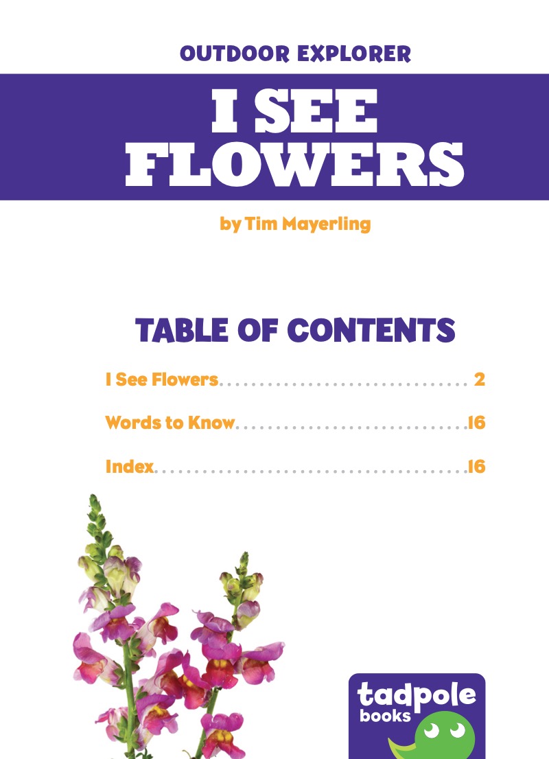 I See Flowers book cover