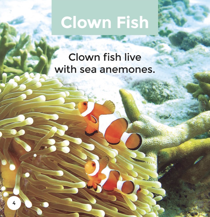 Clown Fish — page 1