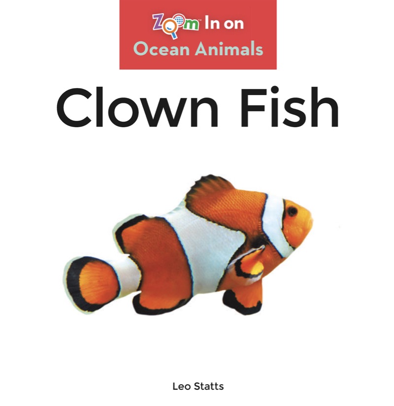Clown Fish book cover