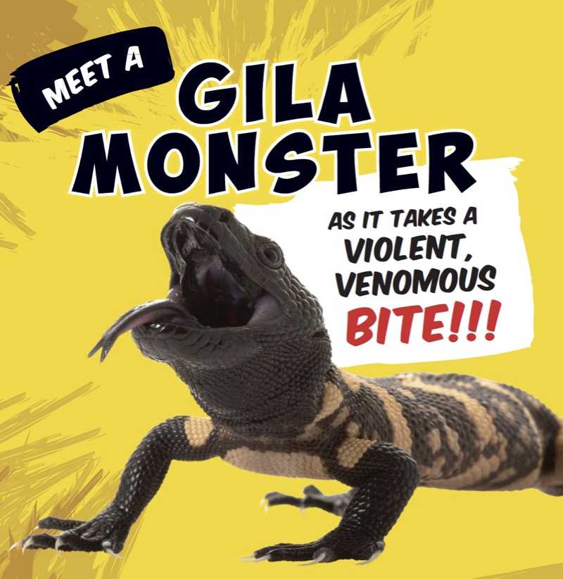 Gila Monster: Venomous Desert Dweller — page 1