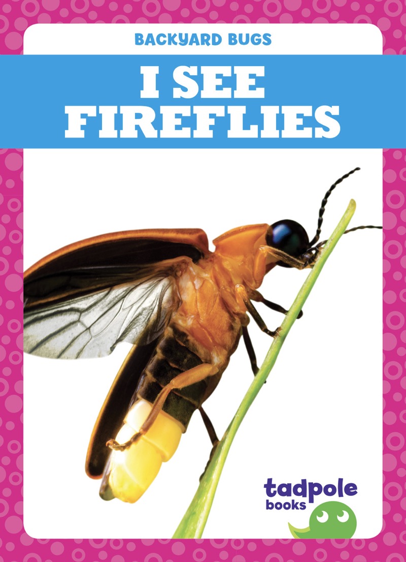 I See Fireflies book cover