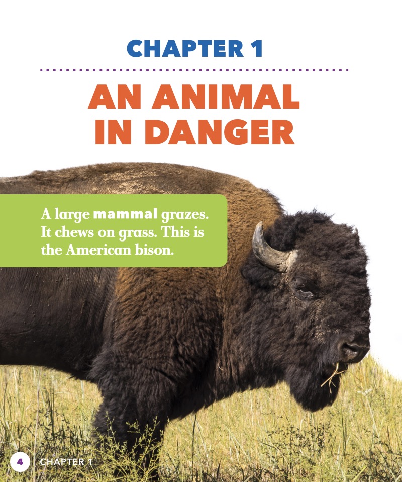 Saving the American Bison — page 1