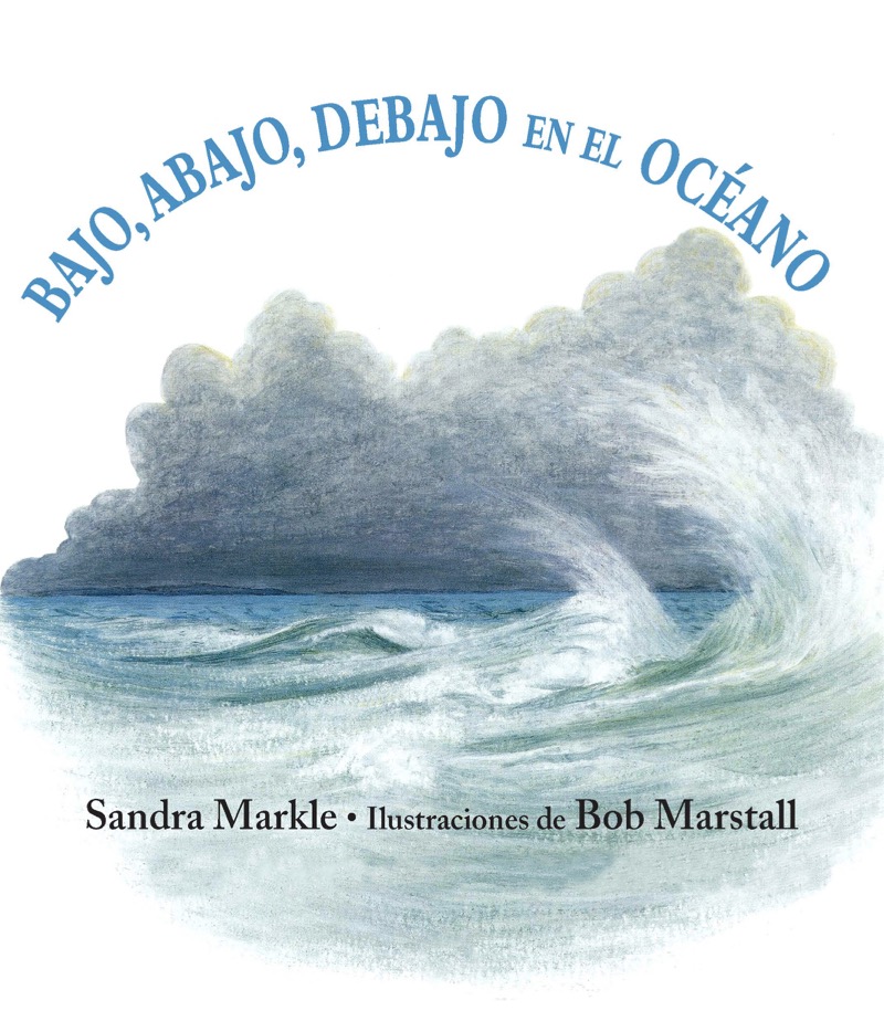 Bajo, Abajo, Debajo En El Océano book cover