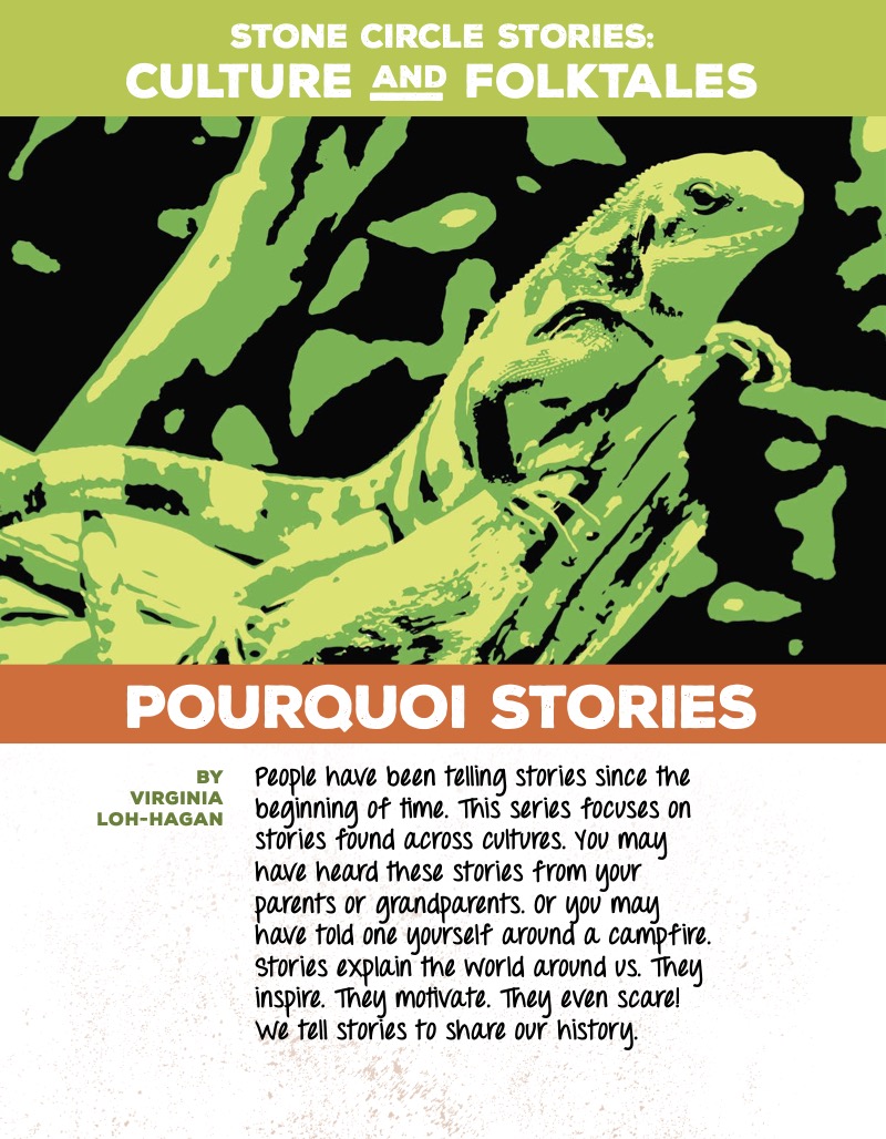 Pourquoi Stories book cover