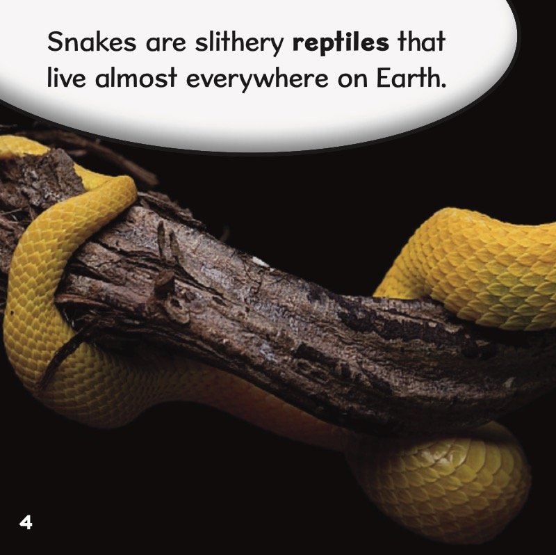 Ouch! Snakes That Bite — page 1