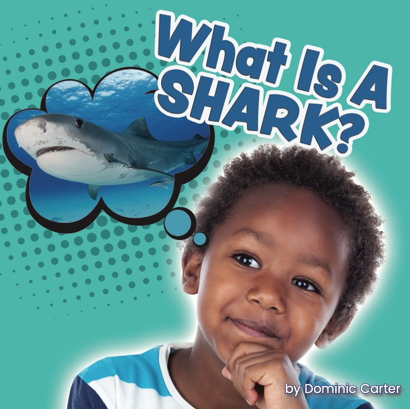 What Is a Shark? book cover