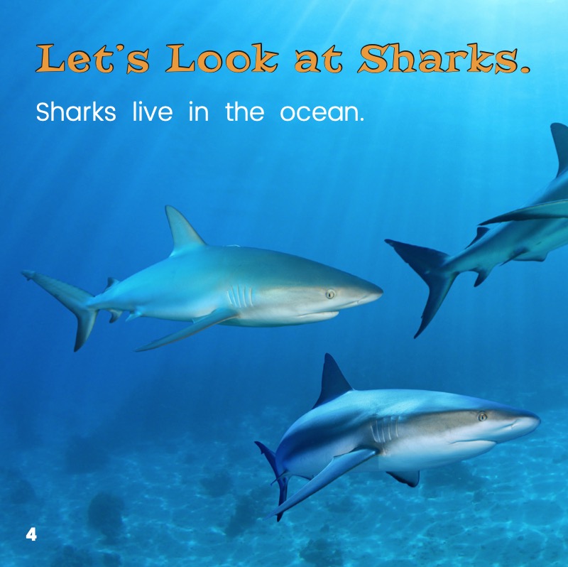 What Is a Shark? — page 1